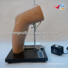 ISO Deluxe Elbow Intra-artikuläre Injektion Training Modell, Ellenbogen Gelenk Injektion Ausbildung